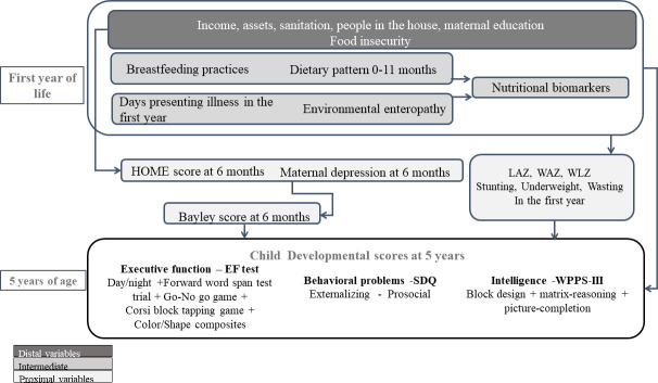 Early life adverse environmental, nutrition and infection factors are associated with lower developmental scores in Pakistani children at 5 years: a cohort study.