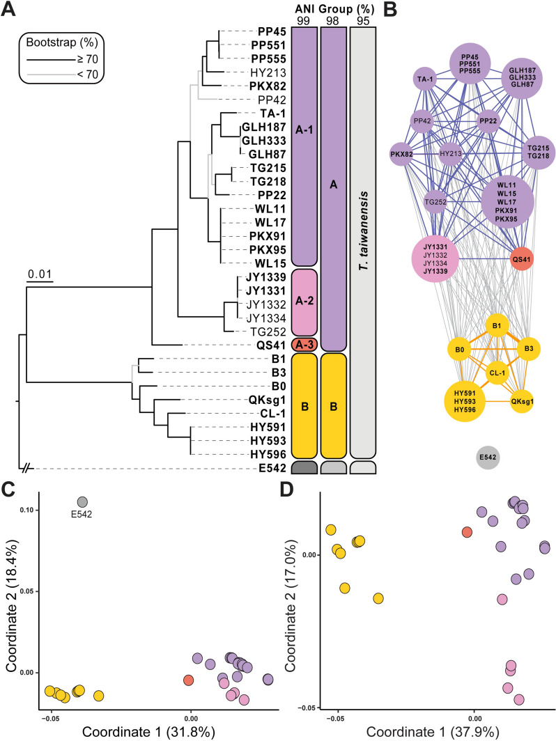 Population genomics of a thermophilic cyanobacterium revealed divergence at subspecies level and possible adaptation genes.
