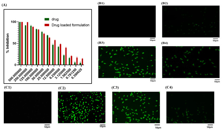 Exploration of the Topical Nanoemulgel Bearing with Ferulic Acid and Essential Oil for Diabetic Wound Healing.