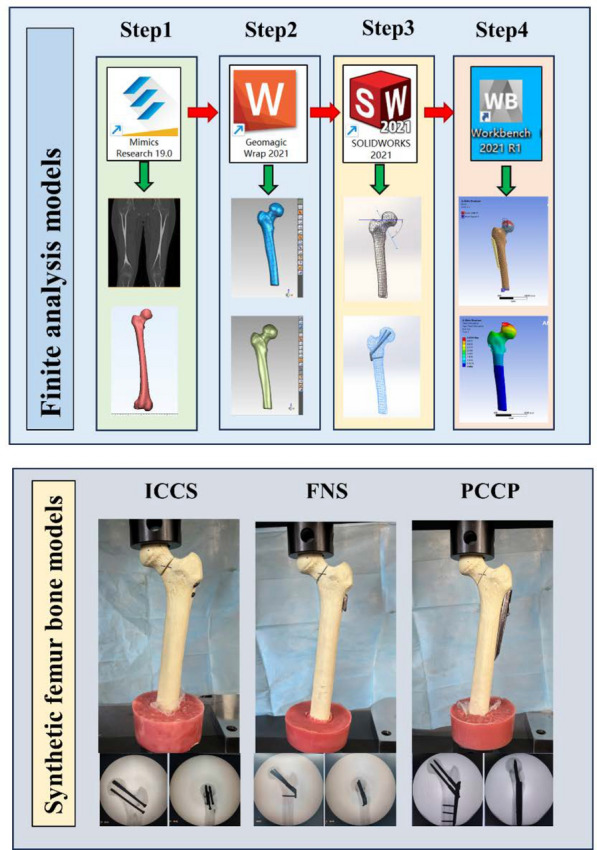 Biomechanical evaluation of percutaneous compression plate and femoral neck system in Pauwels type III femoral neck fractures.