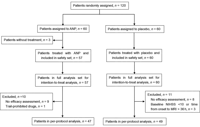 Safety and efficacy of Angong Niuhuang Pills in patients with moderate-to-severe acute ischemic stroke (ANGONG TRIAL): A randomized double-blind placebo-controlled pilot clinical trial.