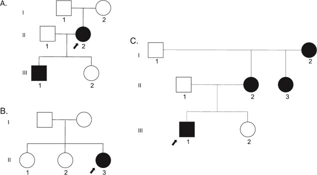Unusual <i>PHEX</i> variants implicate uncommon genetic mechanisms for X-linked hypophosphatemic rickets.