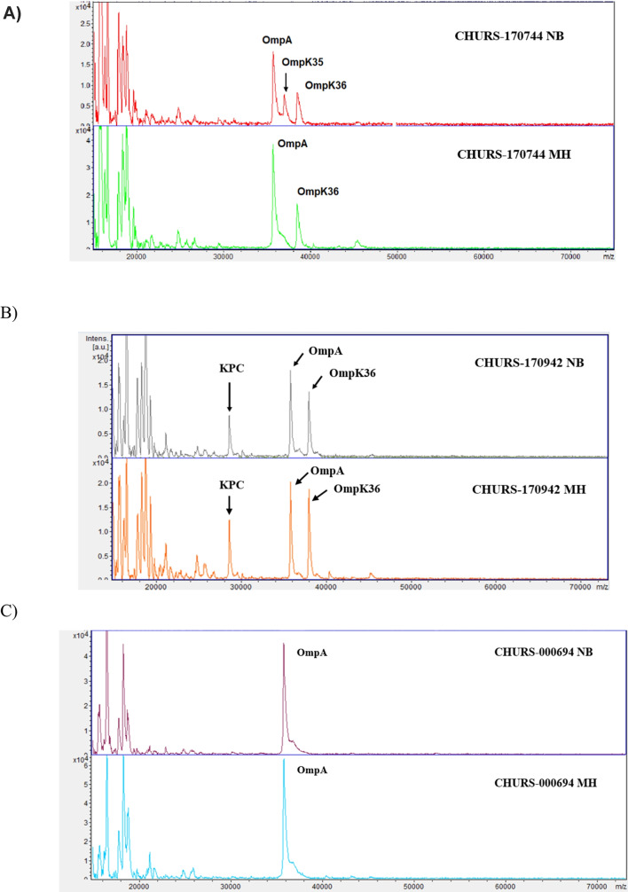 Porin expression in clinical isolates of Klebsiella pneumoniae: a comparison of SDS-PAGE and MALDI-TOF/MS and limitations of whole genome sequencing analysis.