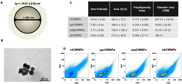 Cell wall nanoparticles from hyphae of <i>Alternaria infectoria</i> grown with caspofungin, nikkomycin, or pyroquilon trigger different activation profiles in macrophages.