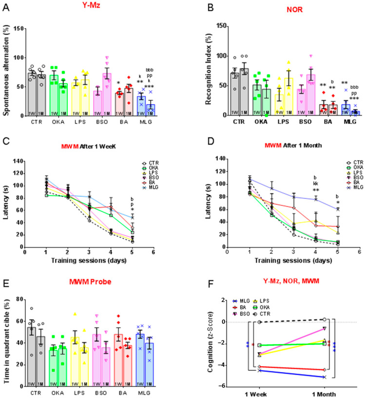 Comparative Study of Injected Alzheimer's Disease Models in Rats: Insights from Experimental Research.