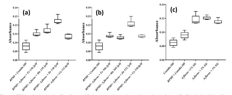 <i>In vitro</i> enrichment of trace elements promotes rapid germination of <i>Aspergillus</i> conidia: a clinical concern for immunosuppressed and hyperglycemic patients.