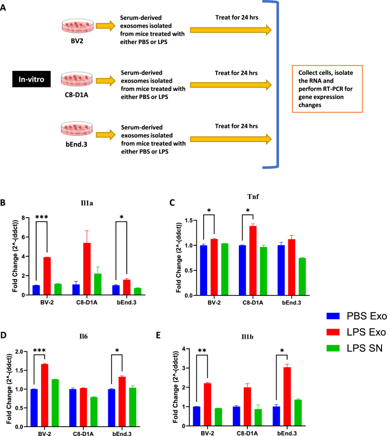 Characterization of exosome-mediated propagation of systemic inflammatory responses into the central nervous system.