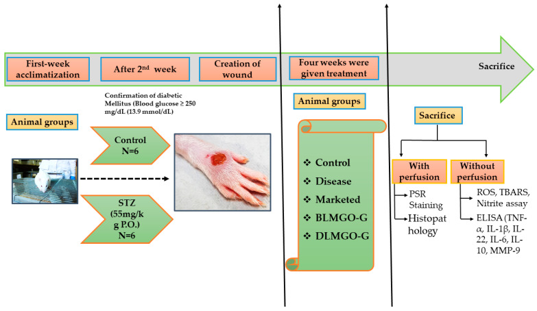 Exploration of the Topical Nanoemulgel Bearing with Ferulic Acid and Essential Oil for Diabetic Wound Healing.