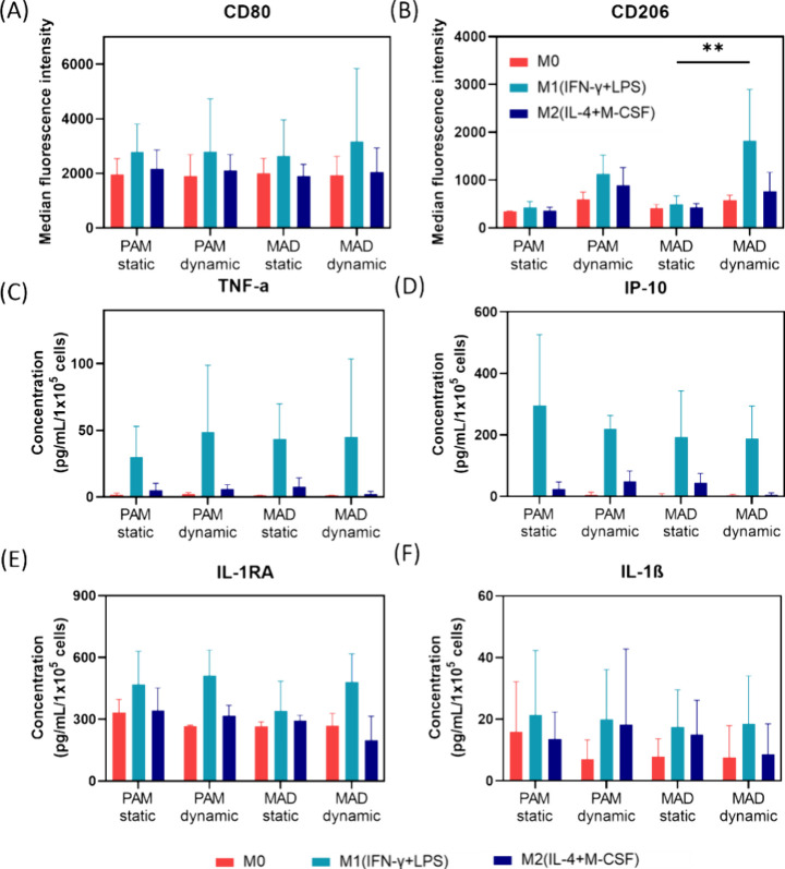 Magnetically Driven Hydrogel Surfaces for Modulating Macrophage Behavior.