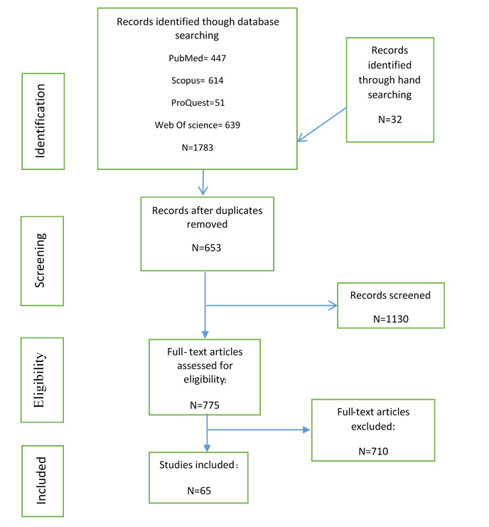 Assessing Sexual Health: A Comprehensive Scoping Review of Measurement Questionnaires.