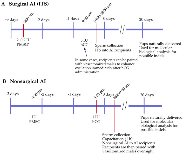 Artificial Insemination as a Possible Convenient Tool to Acquire Genome-Edited Mice via In Vivo Fertilization with Engineered Sperm.