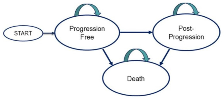 Trastuzumab plus chemotherapy versus chemotherapy alone in HER2-positive gastric cancer treatment in Iran: a cost-effectiveness analysis.