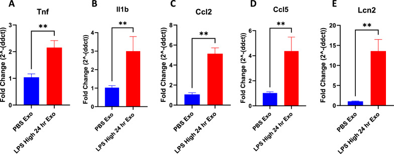 Characterization of exosome-mediated propagation of systemic inflammatory responses into the central nervous system.
