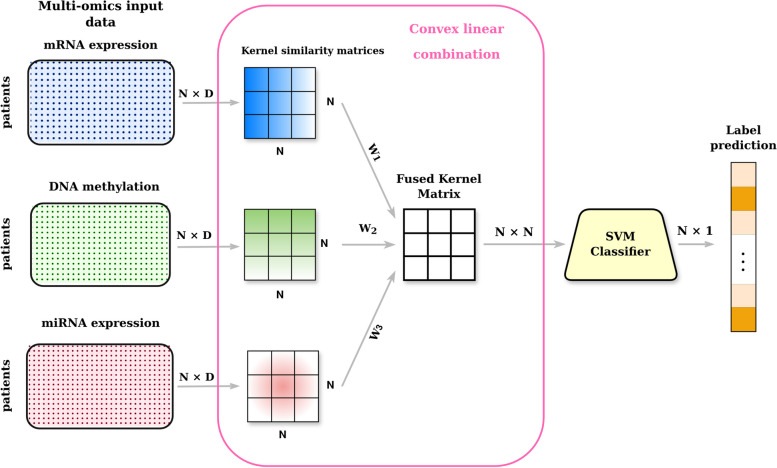 Supervised multiple kernel learning approaches for multi-omics data integration.