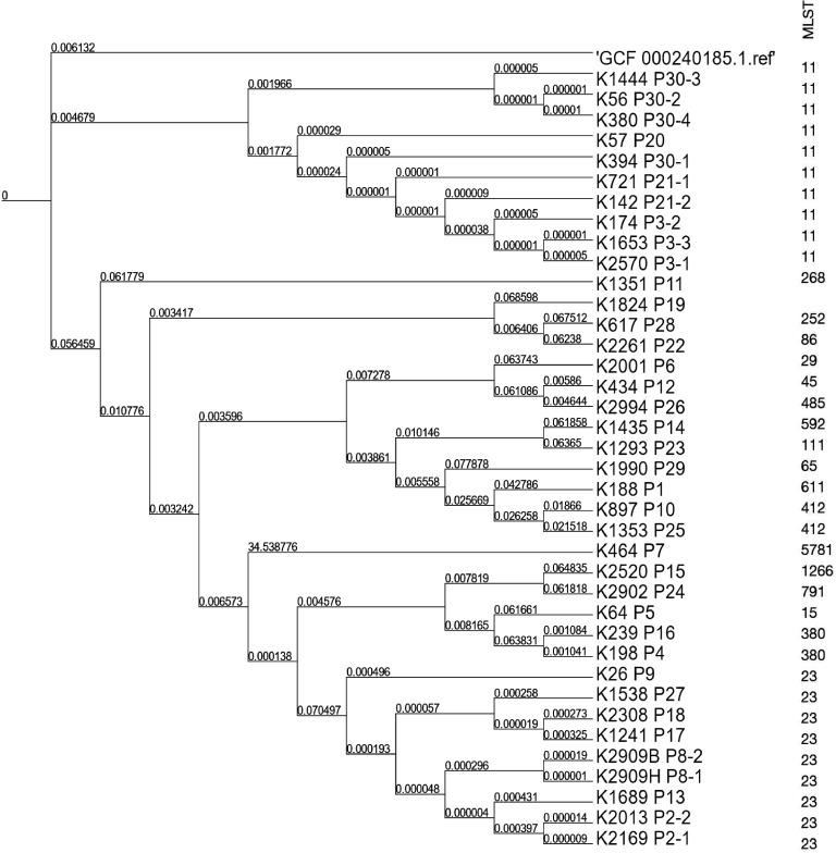 A single-center retrospective study of the molecular epidemiological characteristics of different <i>Klebsiella pneumoniae</i> infections in northern China.