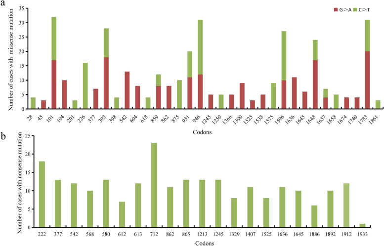 Characteristic spatial and frequency distribution of mutations in SCN1A.