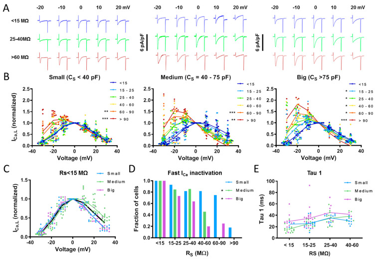 Impact of Overnight Storage of Human Atrial Myocytes on Intracellular Calcium Homeostasis and Electrophysiological Utility.