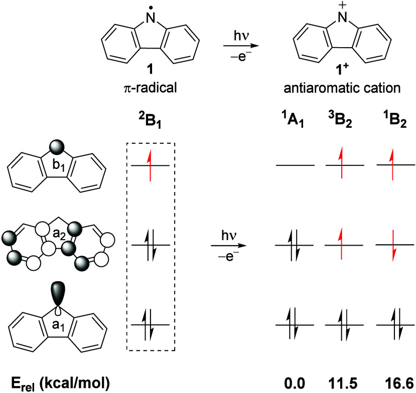 <i>N</i>-Carbazolyl π-Radical and Its Antiaromatic Nitrenium Ion: A Threshold Photoelectron Spectroscopic Study.