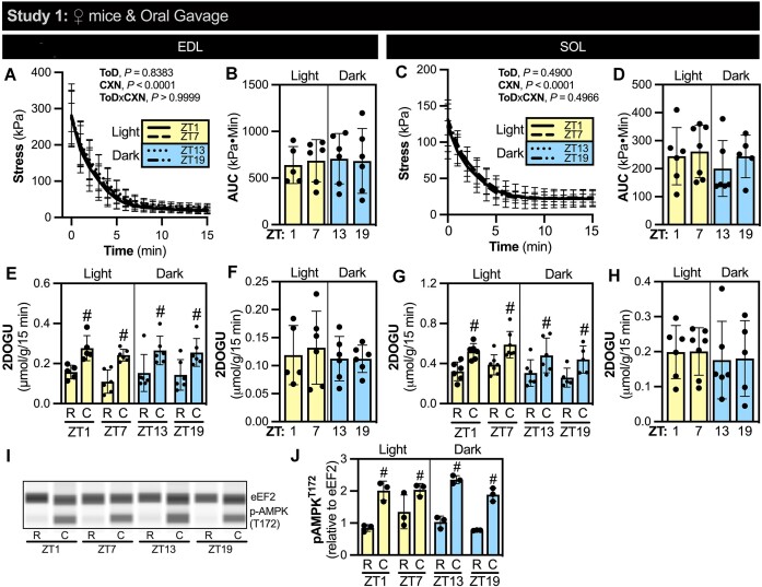 Intrinsic Skeletal Muscle Function and Contraction-Stimulated Glucose Uptake Do Not Vary by Time-of-Day in Mice.