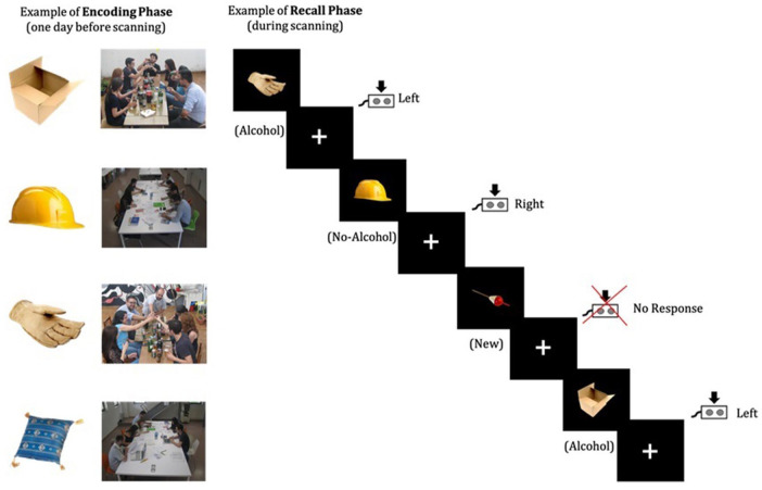 Associative memory in alcohol-related contexts: An fMRI study with young binge drinkers.