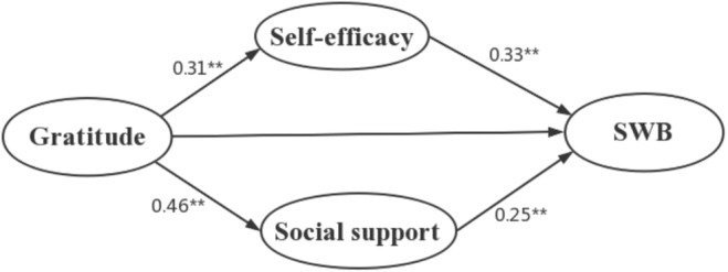 Gratitude and Subjective Well-Being in Older Chinese Adults in Nursing Homes: The Mediating Roles of Self-Efficacy and Social Support.