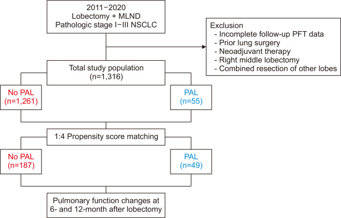 Impact of Postoperative Prolonged Air Leakage on Long-Term Pulmonary Function after Lobectomy for Lung Cancer.
