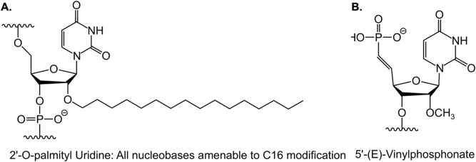 Oligonucleotide therapeutics for neurodegenerative diseases.