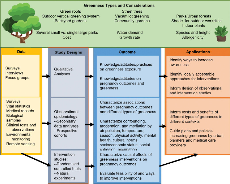Advancing research on greenspace and climate-sensitive adverse birth outcomes for equity and impact.