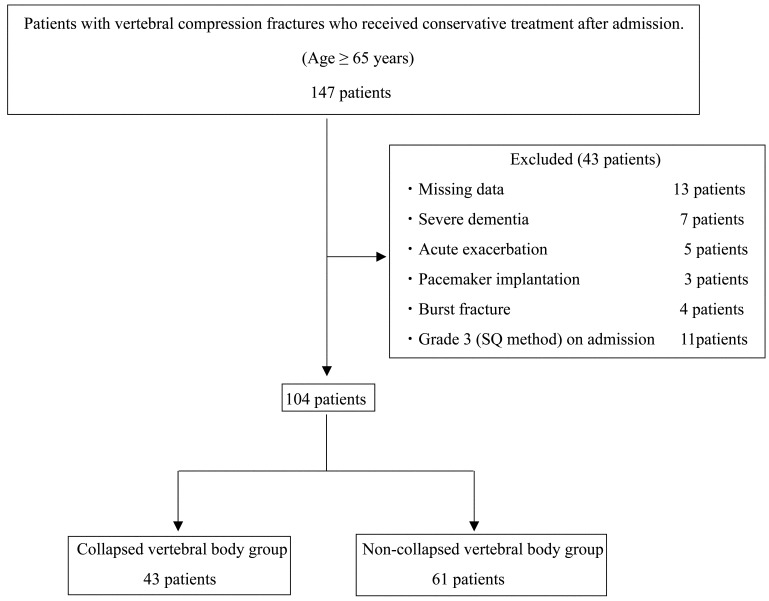 Association between Trunk Muscle Mass and Progression of Vertebral Collapse in Patients Treated Conservatively for Vertebral Compression Fractures.