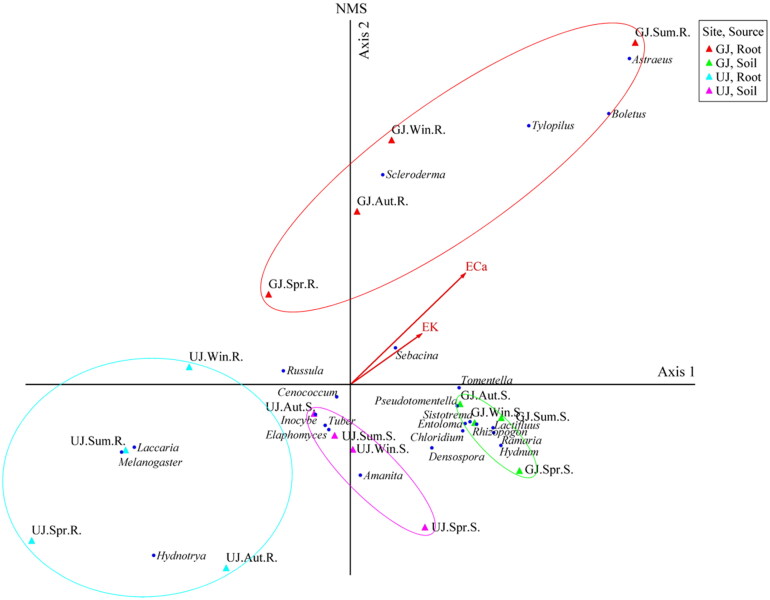 Diversity of Ectomycorrhizal Fungal Communities Associated with <i>Tuber koreanum</i> in Korea.