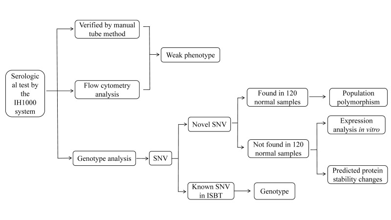 Identification of the novel c.300C>G variation on the ABO*A1.02 allele associated with an A<sub>weak</sub>B phenotype.