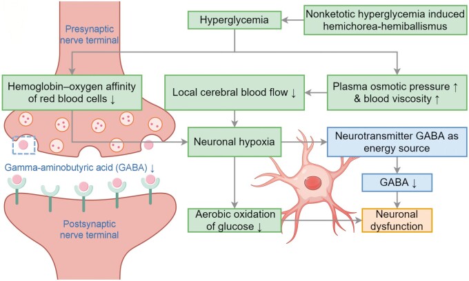 Non-ketotic hyperglycaemia-induced hemichorea-hemiballism may represent glioma-like pattern on multimodal magnetic resonance imaging: can <sup>1</sup>H spectroscopy help in the differentiation?