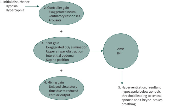 Management of central sleep apnoea: a review of non-hypercapnic causes.