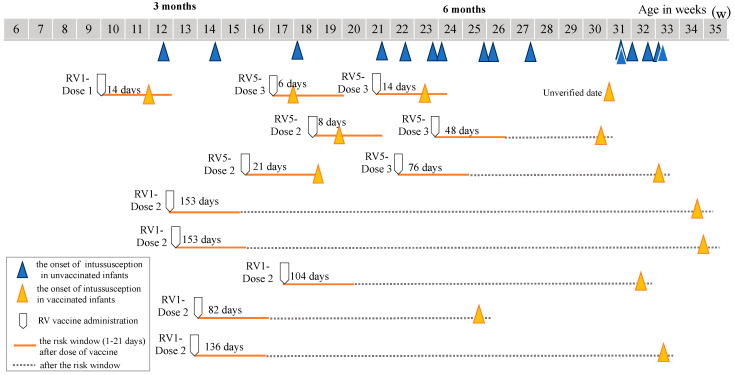 The Apparent Lack of the Risk of Intussusception Immediately After Rotavirus Vaccination Among Japanese Infants.