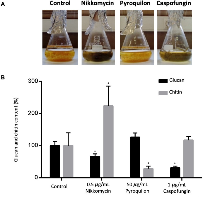Cell wall nanoparticles from hyphae of <i>Alternaria infectoria</i> grown with caspofungin, nikkomycin, or pyroquilon trigger different activation profiles in macrophages.