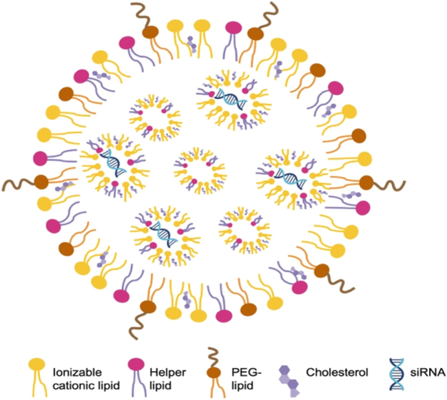 Oligonucleotide therapeutics for neurodegenerative diseases.