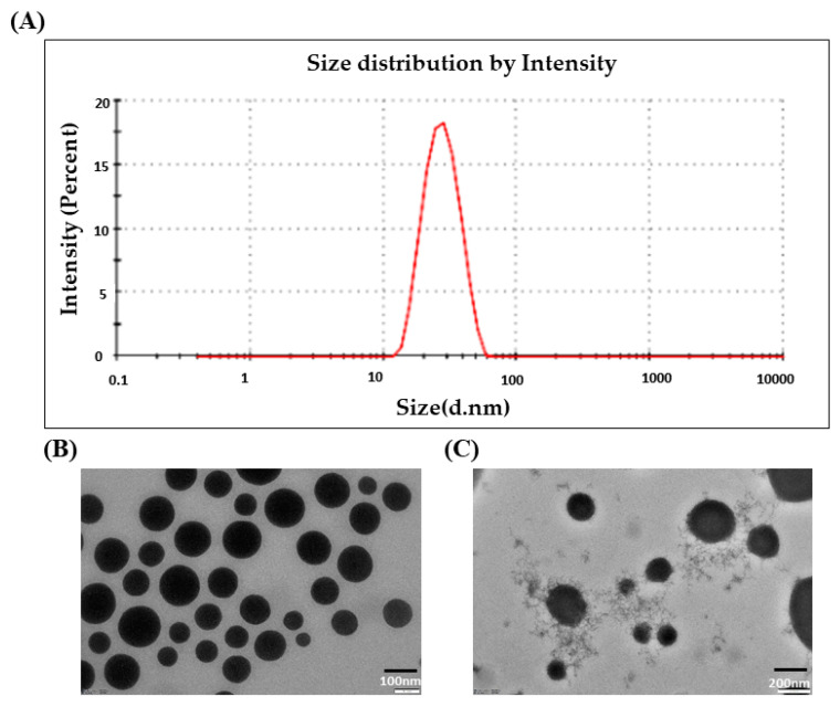 Exploration of the Topical Nanoemulgel Bearing with Ferulic Acid and Essential Oil for Diabetic Wound Healing.