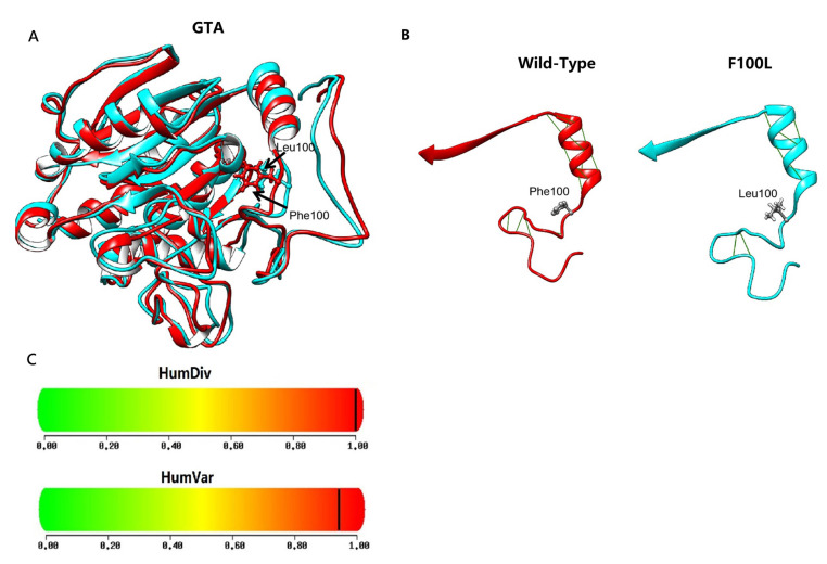 Identification of the novel c.300C>G variation on the ABO*A1.02 allele associated with an A<sub>weak</sub>B phenotype.