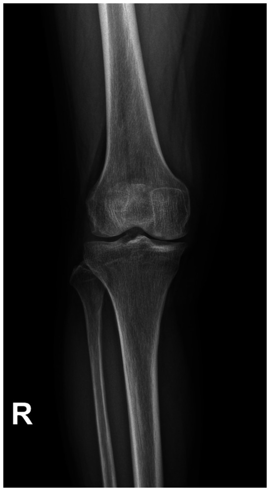 Abstract Image