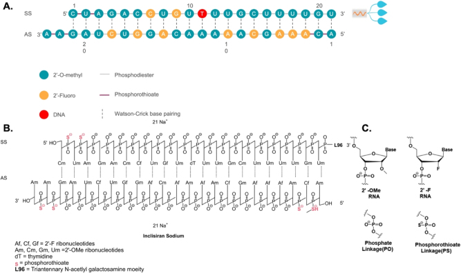Oligonucleotide therapeutics for neurodegenerative diseases.