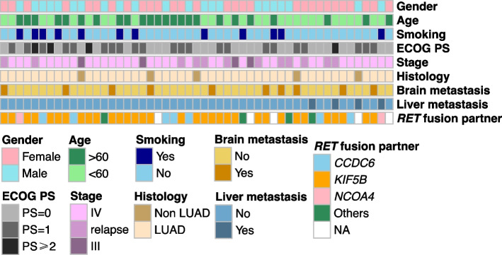 Efficacy and safety of RET-TKI in advanced RET-rearranged non-small cell lung cancer in China: a real-world retrospective chart review.