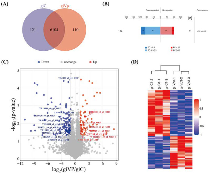 Proteomic Analysis of <i>Vibrio parahaemolyticus</i>-Stimulated <i>Pinctada martensii</i> Proteins for Antimicrobial Activity, Potential Mechanisms, and Key Components.