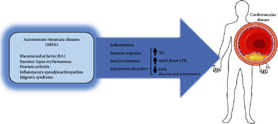 Unraveling the Pleiotropic Role of High-Density Lipoproteins (HDLs) in Autoimmune Rheumatic Diseases.