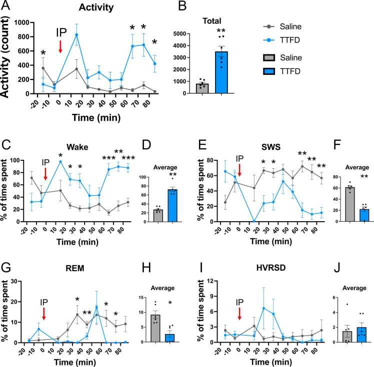 Promoting arousal associated with physical activity with the vitamin B<sub>1</sub> derivative TTFD.