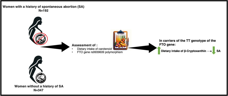 Interactions of spontaneous abortion with <i>FTO</i> gene and dietary carotenoids; a case-control study.