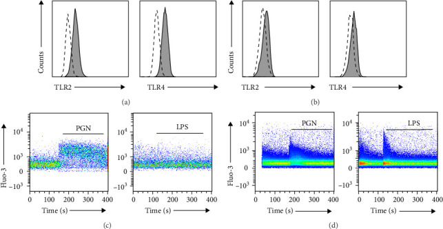 The Secretion of Inflammatory Cytokines Triggered by TLR2 Through Calcium-Dependent and Calcium-Independent Pathways in Keratinocytes.