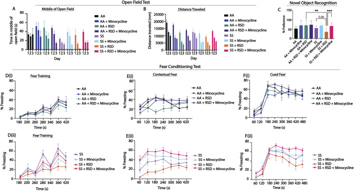Neuroinflammation underlies the development of social stress induced cognitive deficit in male sickle cell mice.