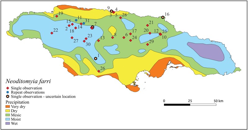 Population records reveal expanded habitat preference for the endemic, predaceous Jamaican fungus gnat Neoditomyia farri (Diptera, Keroplatidae).