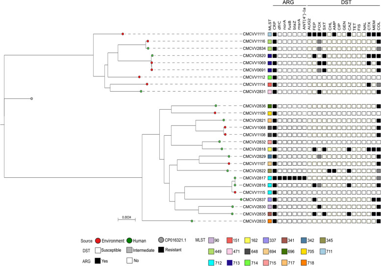 Genomic characteristics of Vibrio vulnificus strains isolated from clinical and environmental sources.