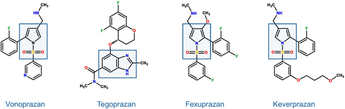 Potassium-competitive Acid Blockers: Current Clinical Use and Future Developments.